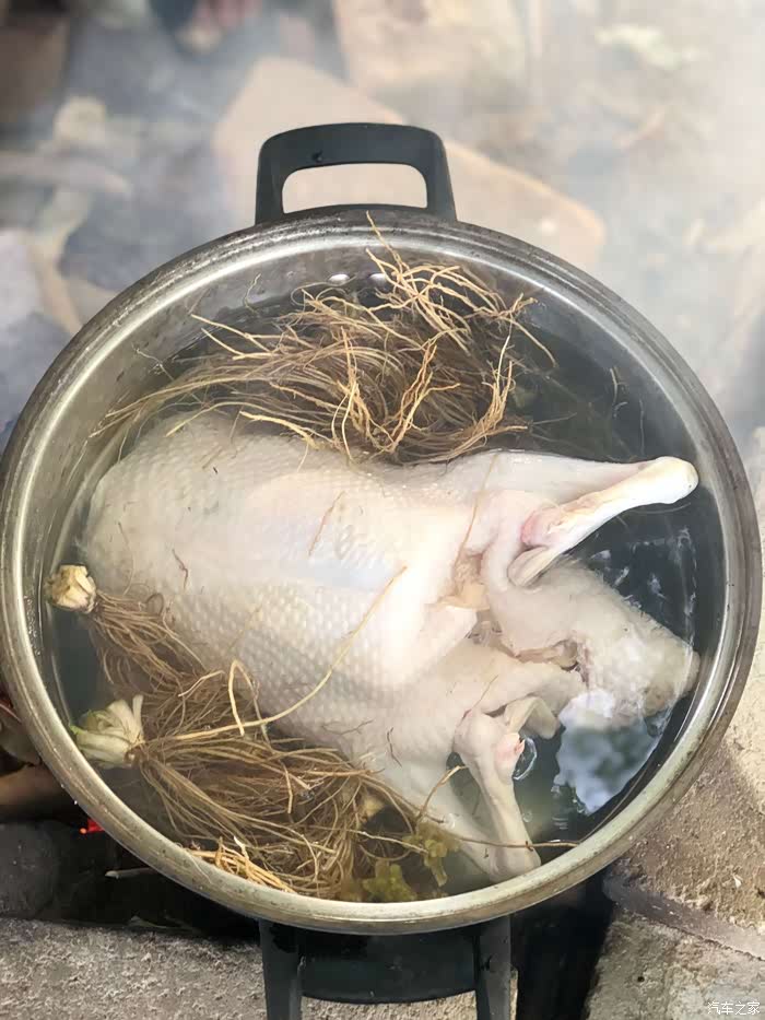 地胆头煮鸭