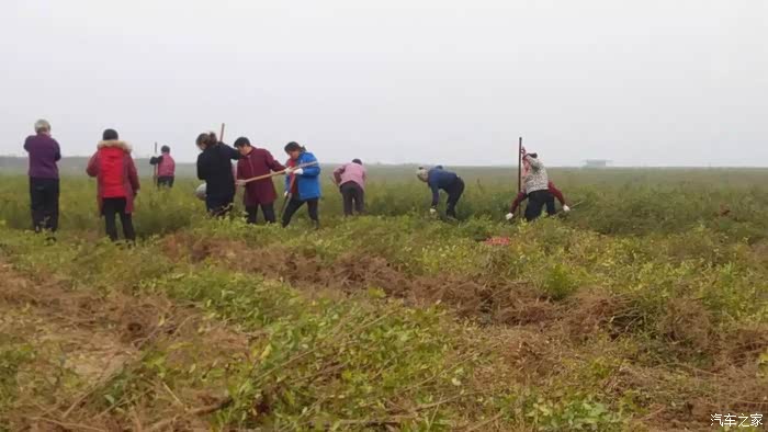 【图】荥阳河阴石榴基地之旅游观光采摘园_瑞