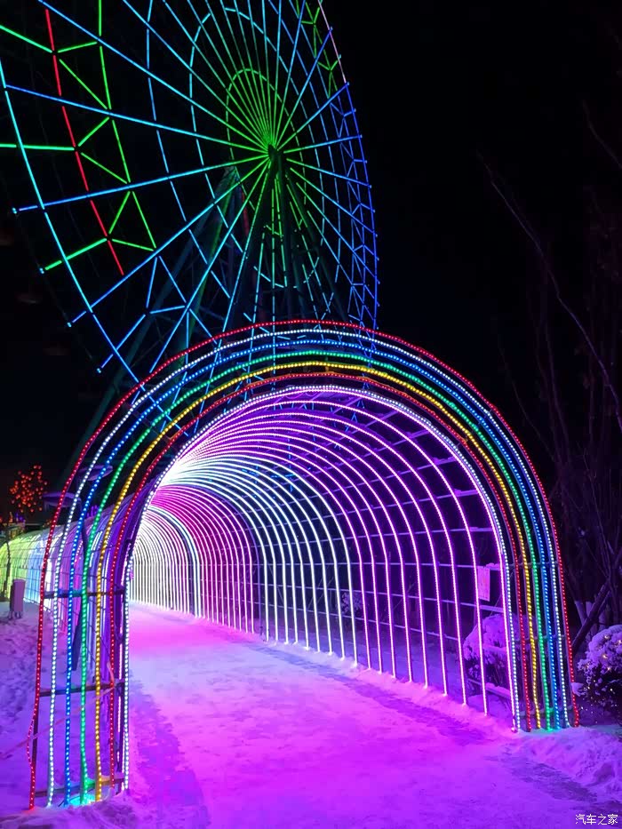 【欢度双节】赏四平植物园夜景