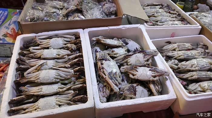 海鲜采购合同范本大全_海鲜烧烤_海鲜采购