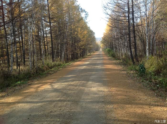 《鱼雷2954》最大的奇粉鱼雷来了