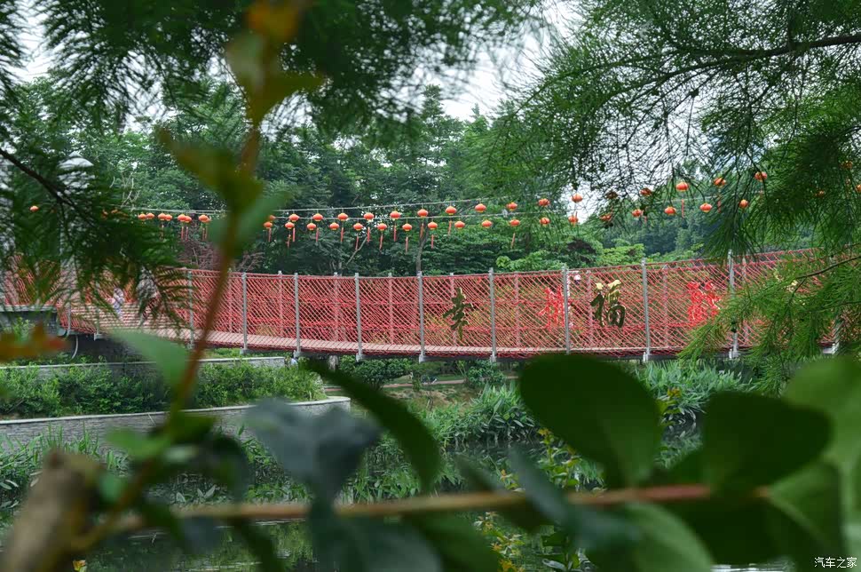 【水车出品】母亲节走上幸福桥