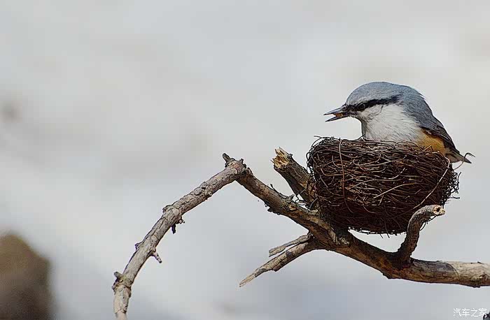 千山鸟飞绝万径人踪灭猜成语_千山鸟飞绝万径人踪灭(2)