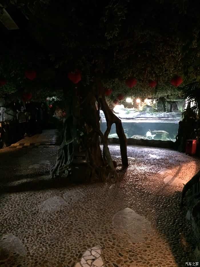 【图】春节温州苍南到福建福州海底世界来回6