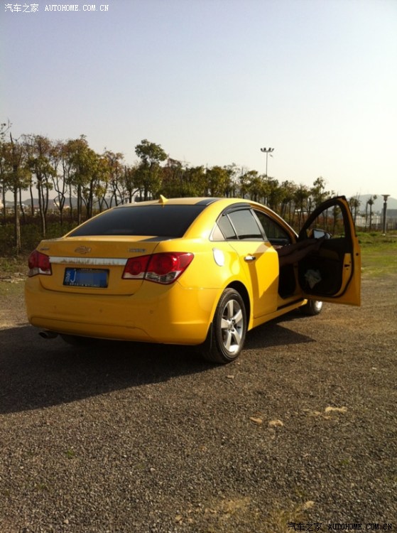 【图】小黄蜂都死哪去了丫。来些一年多的小装