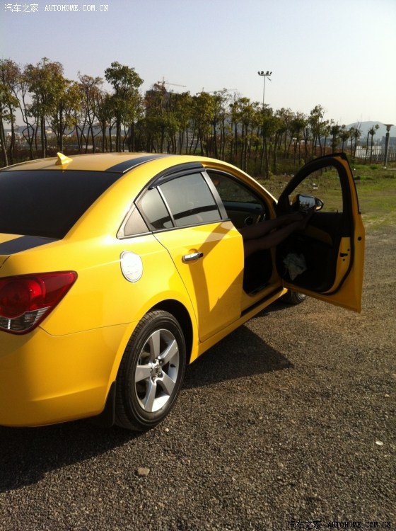 【图】小黄蜂都死哪去了丫。来些一年多的小装