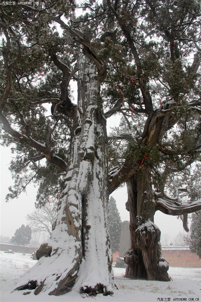 洛阳车友会苍狼萨普之嵩阳汉柏舞瑞雪五岳之中披银装