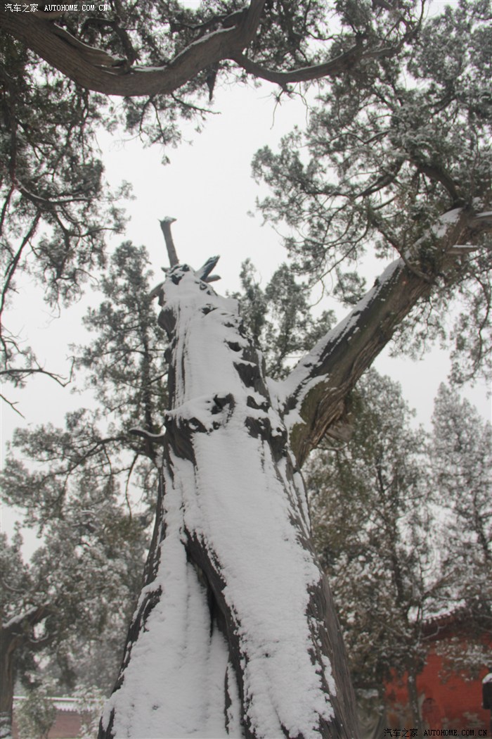 洛阳车友会苍狼萨普之嵩阳汉柏舞瑞雪五岳之中披银装