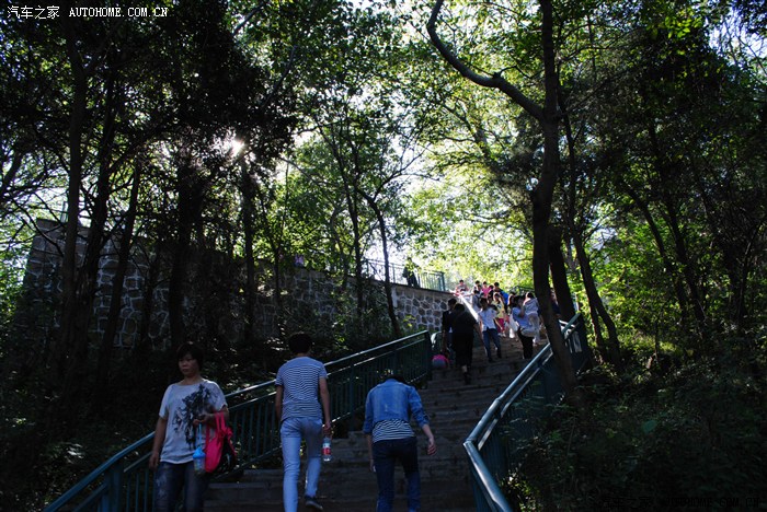 【东城阿宝】重阳节合肥大蜀山登山攀顶风景游