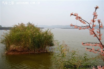 封丘县陈桥湿地鸟类保护区 青龙湖 纯自然风景