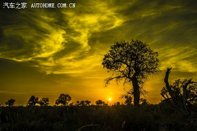 普拉多大秦军团《三套车》赴新疆参加环塔拉力