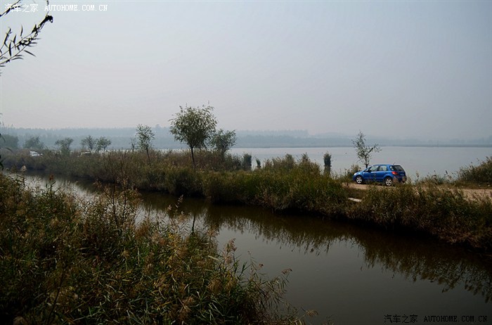 封丘县陈桥湿地鸟类保护区 青龙湖 纯自然风景