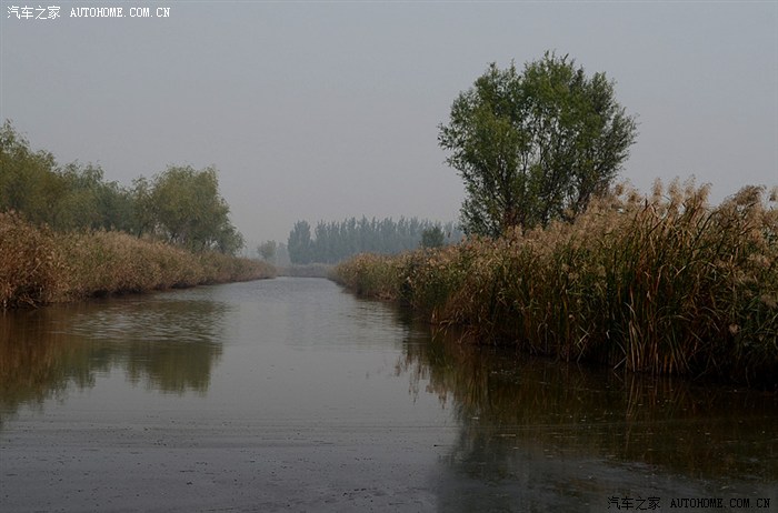 封丘县陈桥湿地鸟类保护区 青龙湖 纯自然风景