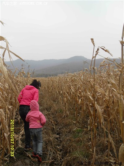 宾县大青山登顶_黑龙江