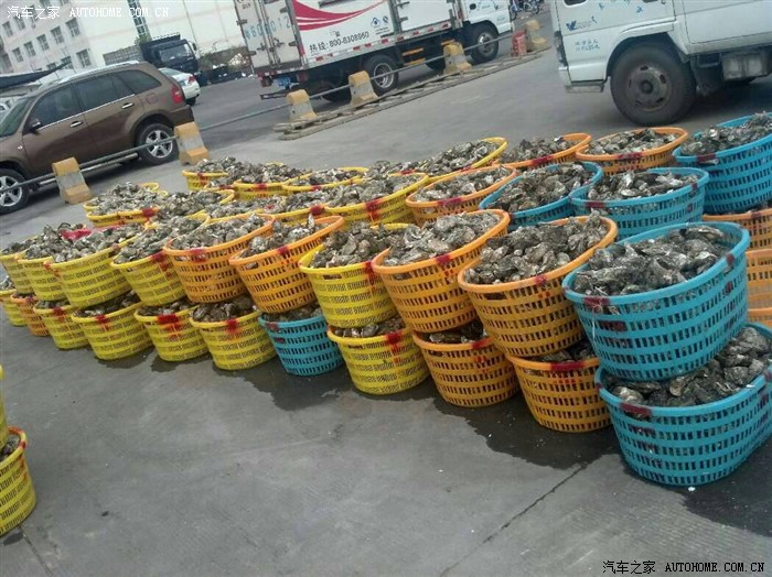 【图】新鲜出炉,又给深圳财政增加收入!200大