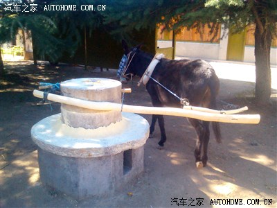 老驴拉磨