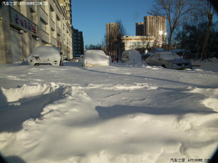 东北大雪、、、看看雪景