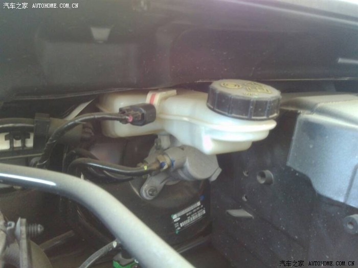12款新福克斯车友帮俺看看防冻液、助力油、