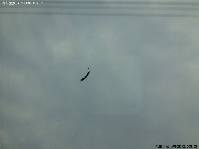 【图】C4L前挡风玻璃高速被石子蹦了1CM大小