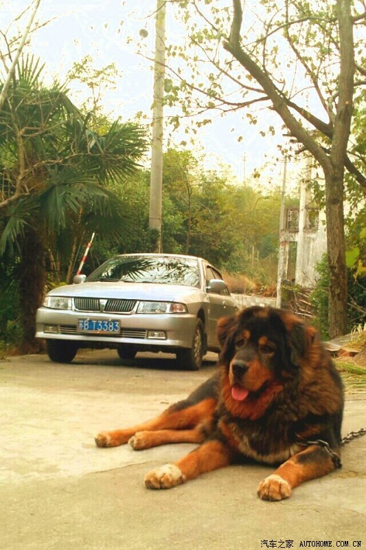 【图】就像当初,就如那时。--十年老菱帅