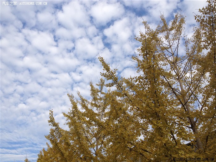 【图】2013.11.30 大吃省广州高六吃货群韶关