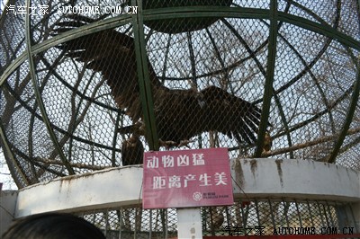 春节游记--徐州动物园 云龙山