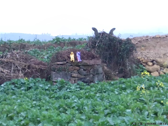 荒山,野径,雅鱼,庄王,美景,美食的2013春节粤----川之旅