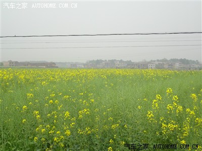 湖南郴州安仁的药王节与油菜花节好热闹啊