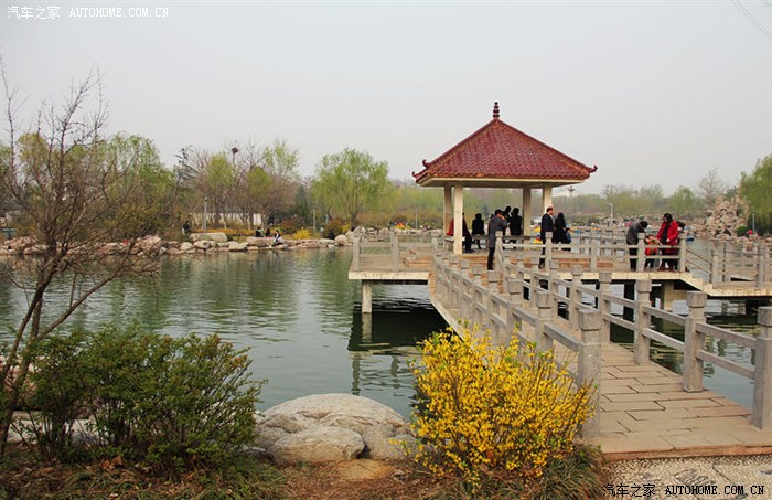 小长假出游记——荥阳植物园/象棋广场/大海寺