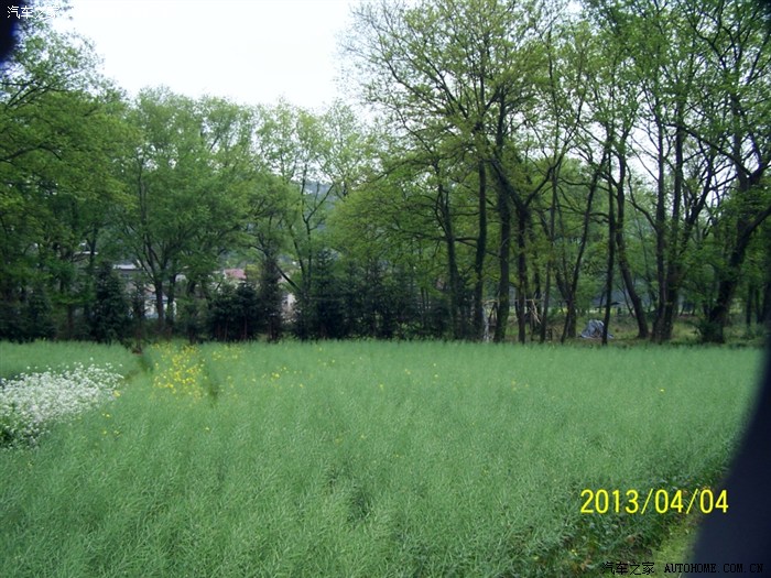 【图】阳春三月,带着小美女去踏青。_标致408