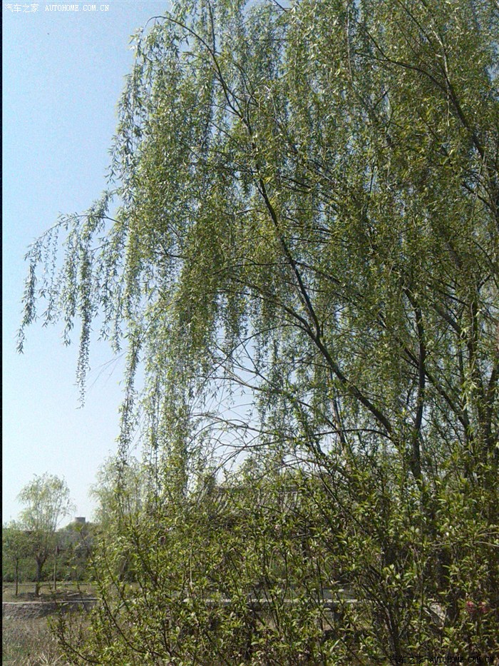 清明节杜甫故里游