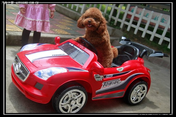 【图】TID白自豪上海购车杭州上牌交作业_速