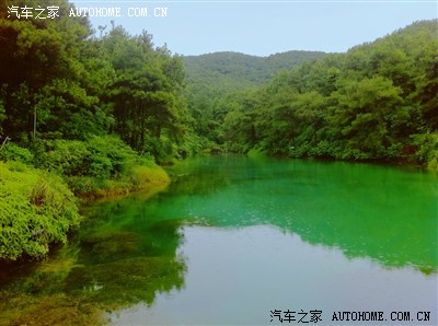 周末闲情之农趣【高明茶山&火龙果园】新增盈香生态园