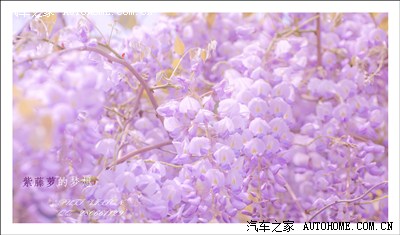 仿造例句:每一朵盛开的花像是一个张满了的小