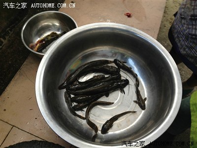 10年老宝带你游阳朔漓江(多P)_宝来\/宝来经典