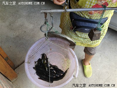 10年老宝带你游阳朔漓江(多P)_宝来\/宝来经典