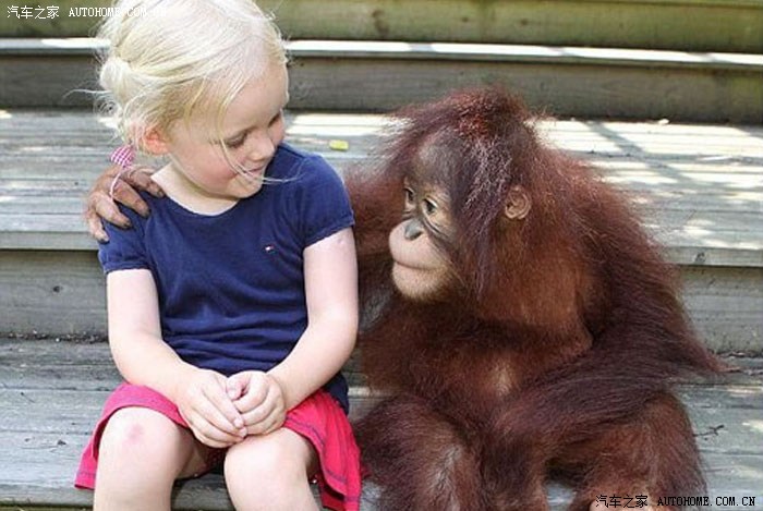 【图】人与兽.{ 不申精 }