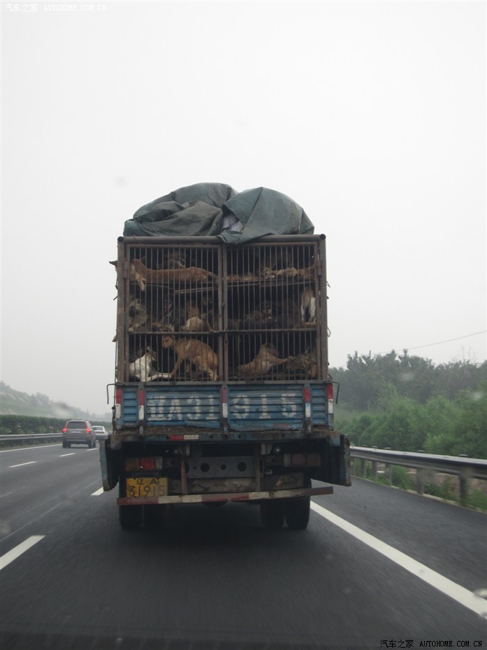 【图】东北三省自驾游,北京出发~