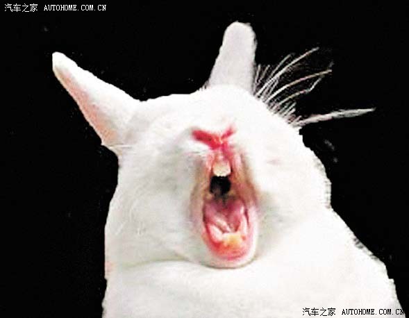 【图】【与车无关】天兔来袭广州的原因。比气