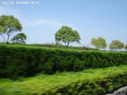 中国和印度哪个人口比较高_印度人口超过中国(2)