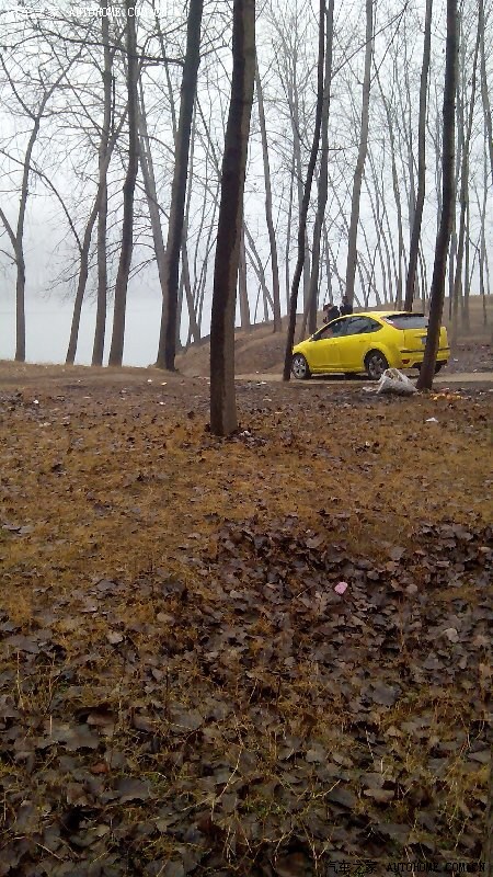 【图】老老福 市区油耗_福克斯论坛_汽车之家