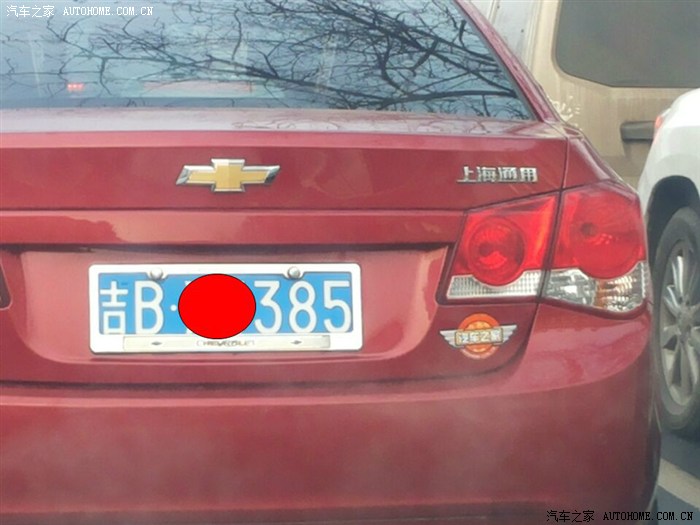 【图】吉林红十 2014年 通缉第一弹 【枣红科鲁