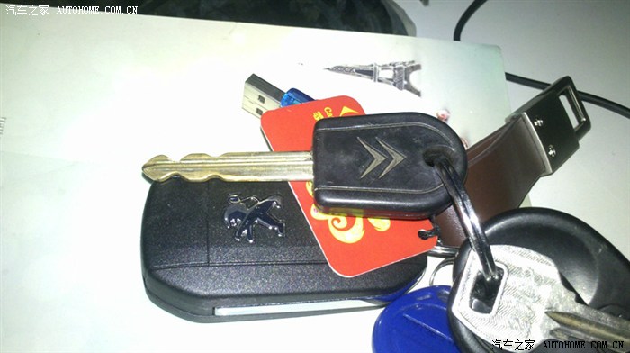 【图】一个开了两年车的人301油耗,装饰_标致马鞭酮迷迭香纯露敷脸图片