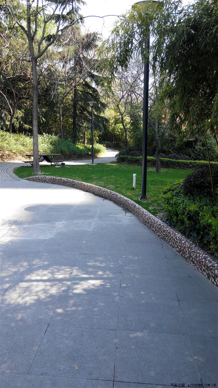 【图】天气真好,饭后散步_上海论坛_汽车之家