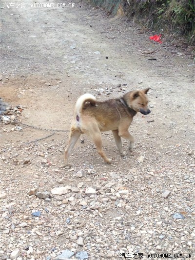 弄个农村合作社,政府有补贴,政府对农村的惠民