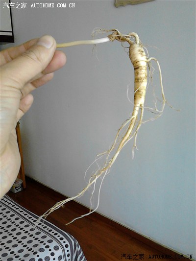 老车20多的年纪了三菱皮卡。后边是我家的参