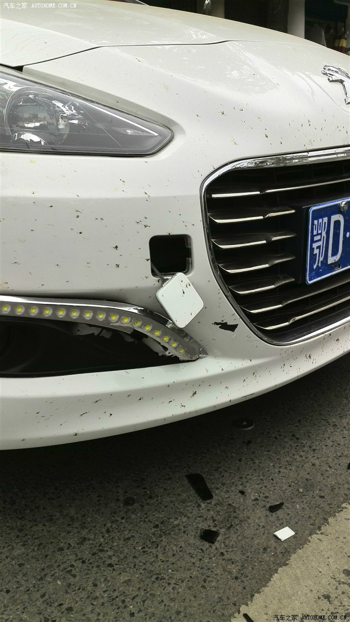 【图】被无德逆行电动车撞了咋办_标致308论