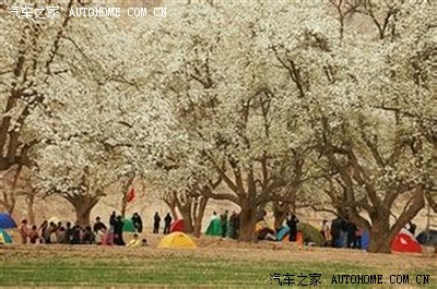 我和春天相约在梨花盛开的南长滩