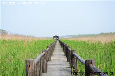 周日游河南封丘县陈桥湿地,地广人非常稀,还免