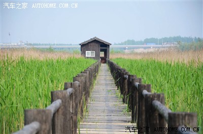 周日游河南封丘县陈桥湿地,地广人非常稀,还免费